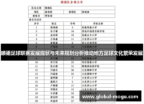顺德足球联赛发展现状与未来规划分析推动地方足球文化繁荣发展